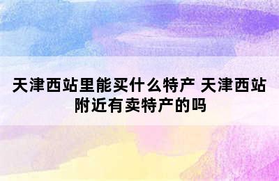 天津西站里能买什么特产 天津西站附近有卖特产的吗